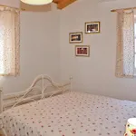 Petra 5
